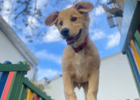 Área de recreação